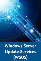Windows Server Update Services (WSUS)_klein