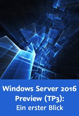 WindowsServer_gross